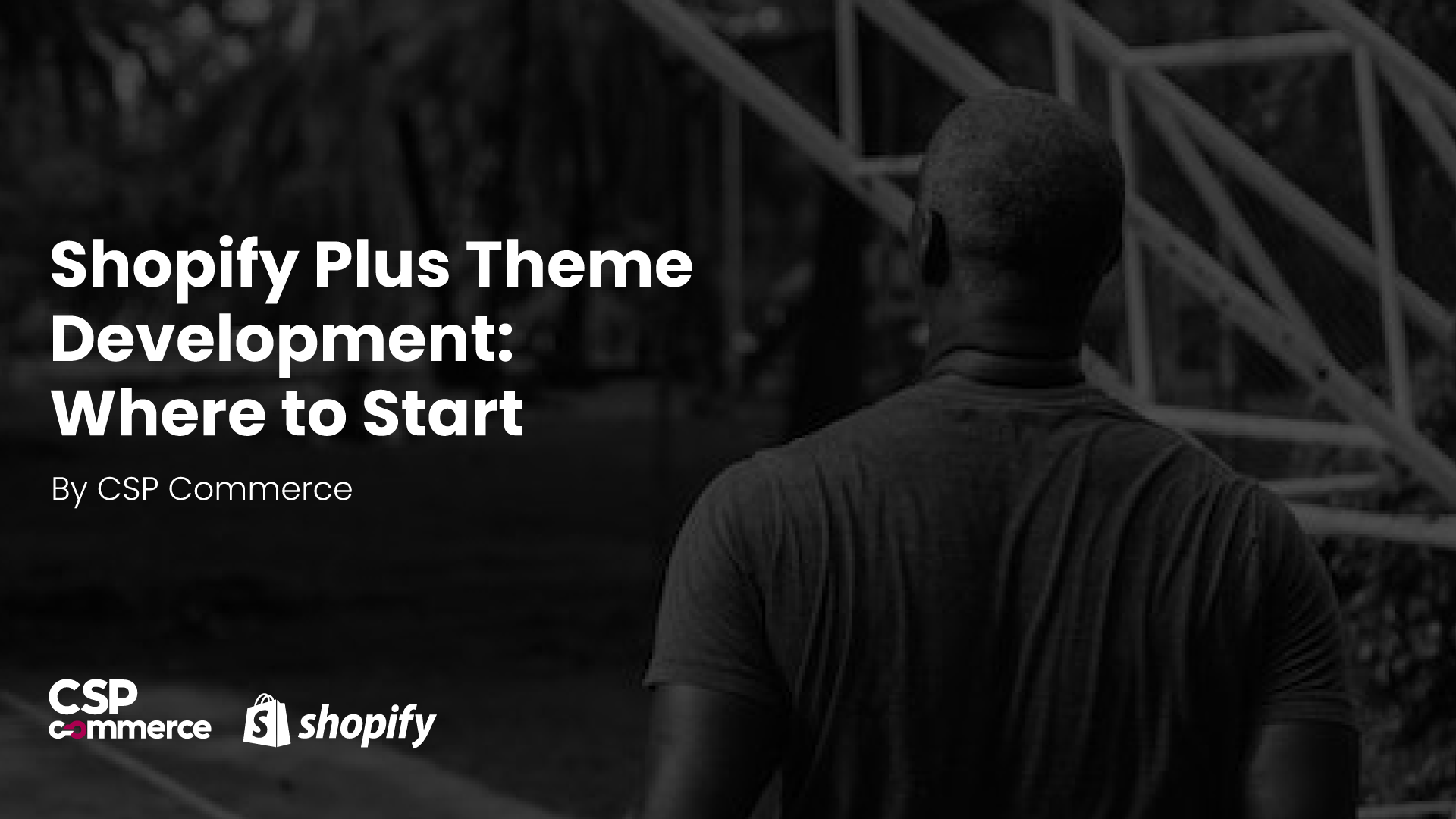 Shopify Plus Development: Theme